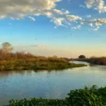 טיול ג'יפים בצפון